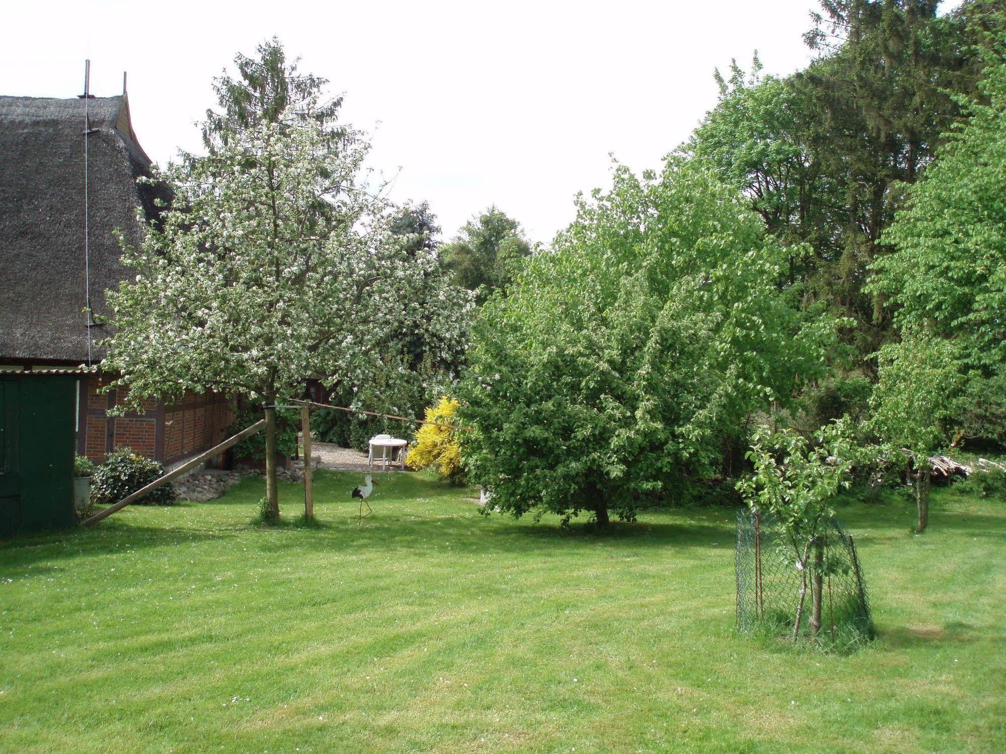 Fischerwiege Am Passader See Extérieur photo